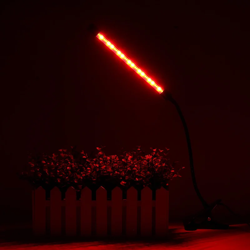 allesxl-12633459