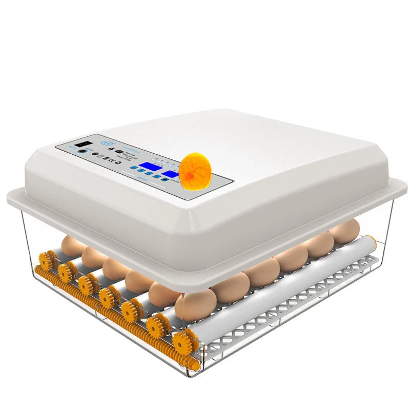 allesxl-12764843