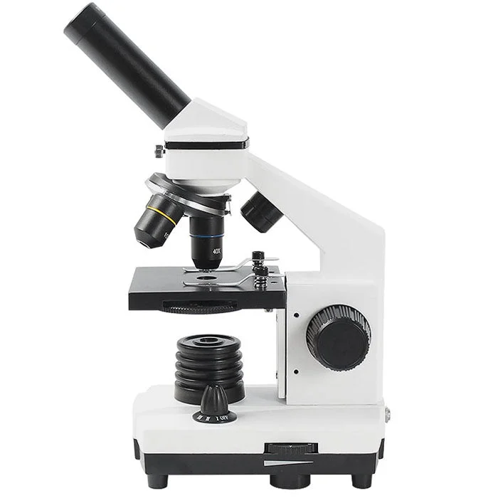 allesxl-12976917
