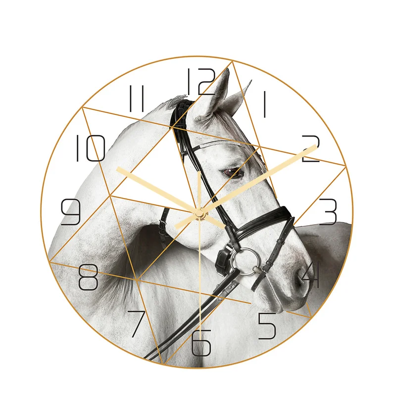 allesxl-13137151