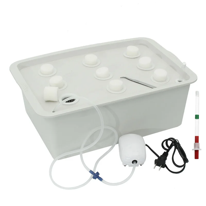 allesxl-13331623