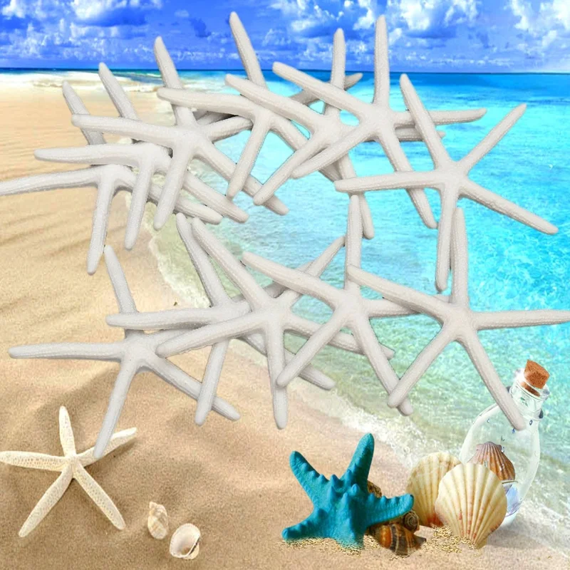 allesxl-22421439