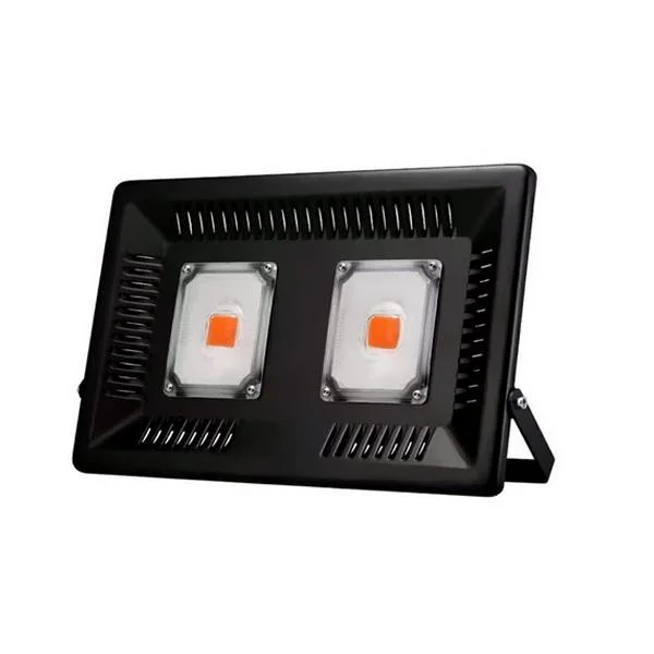 allesxl-23048991