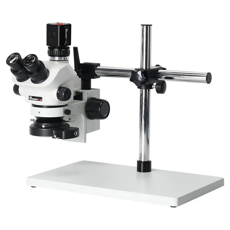 allesxl-23063051