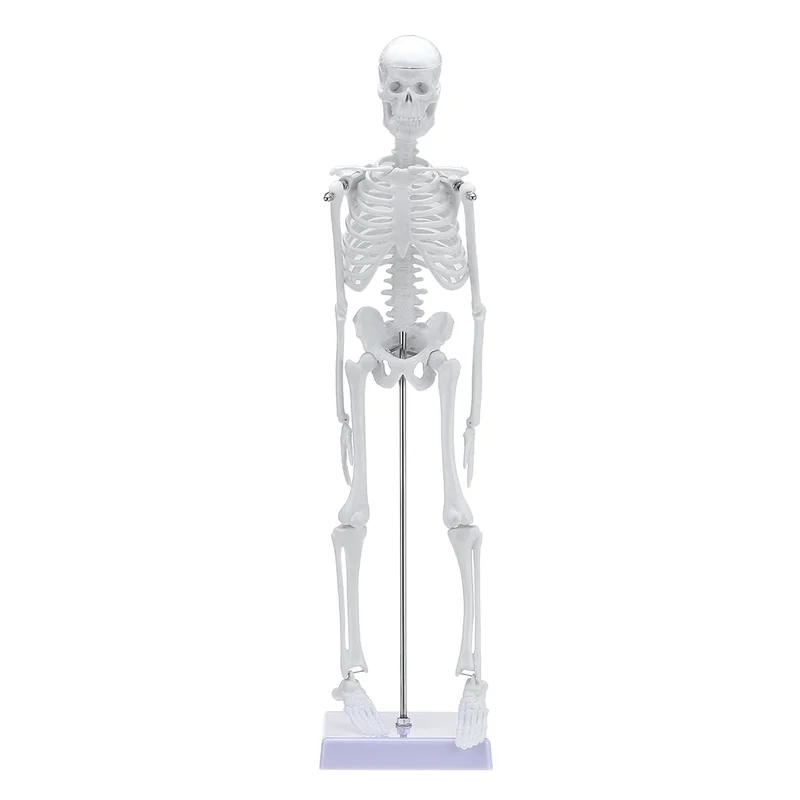 allesxl-32513672