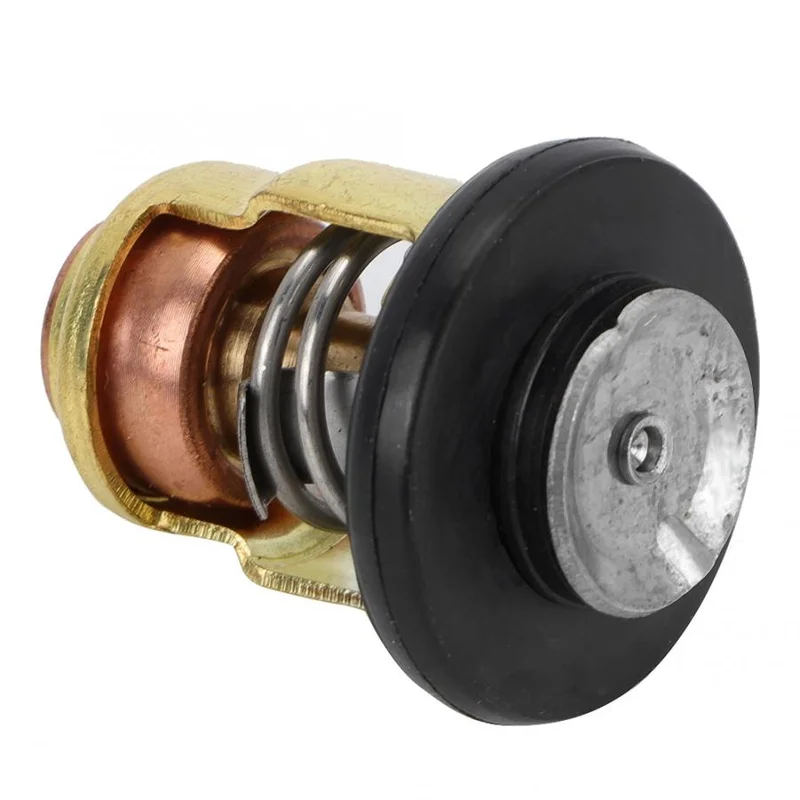 allesxl2431606