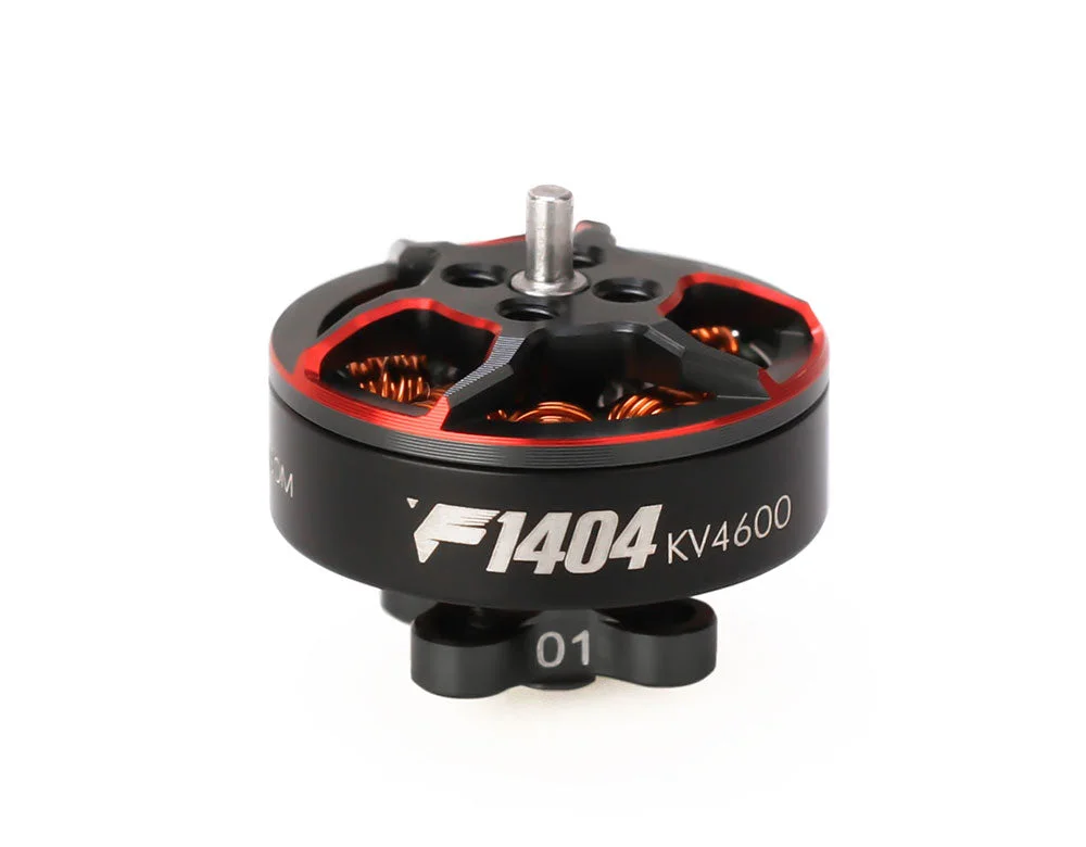 allesxl2444719