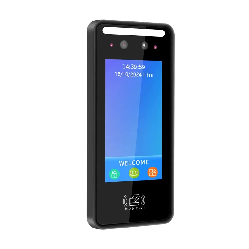 allesxl2661137