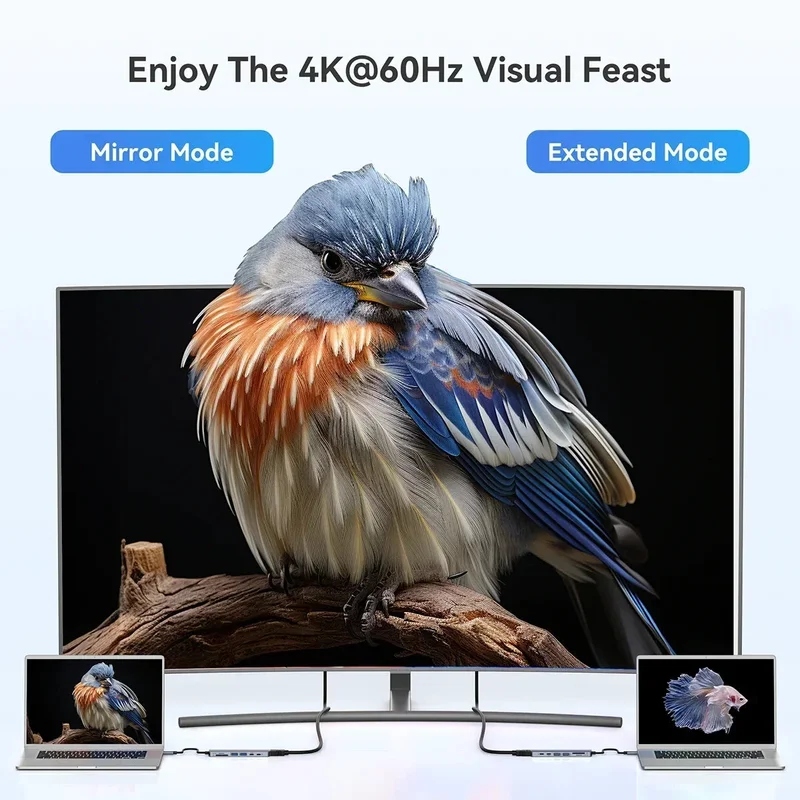 allesxl2820256