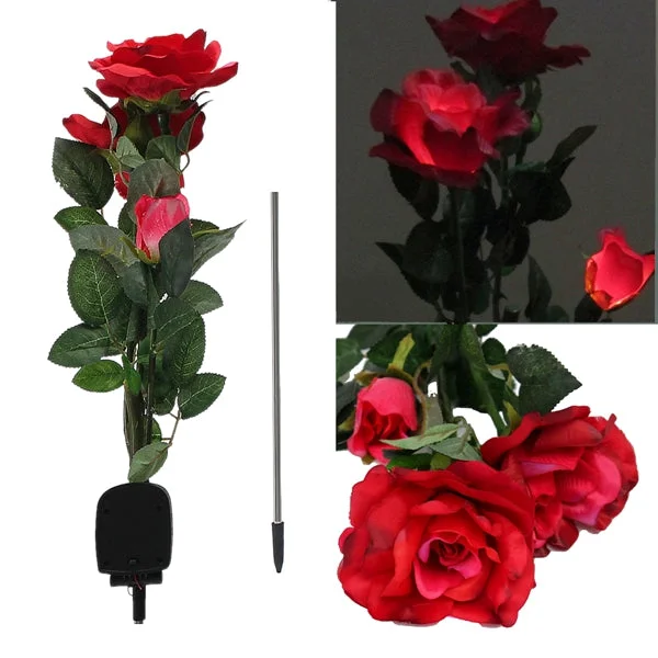 allesxl2885013