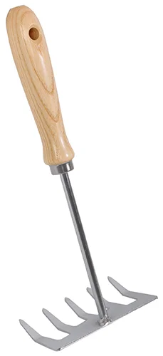deboet2662089