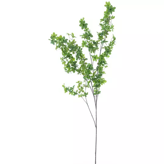 deboet2709528