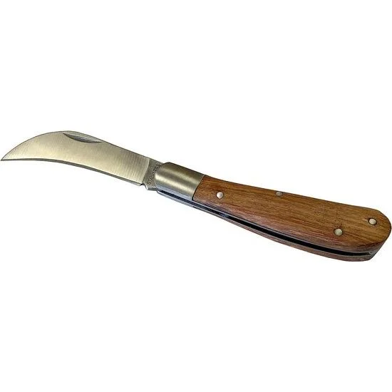 ribbi3169188