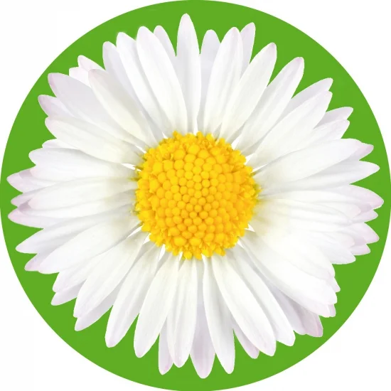 shoppartners-42737081