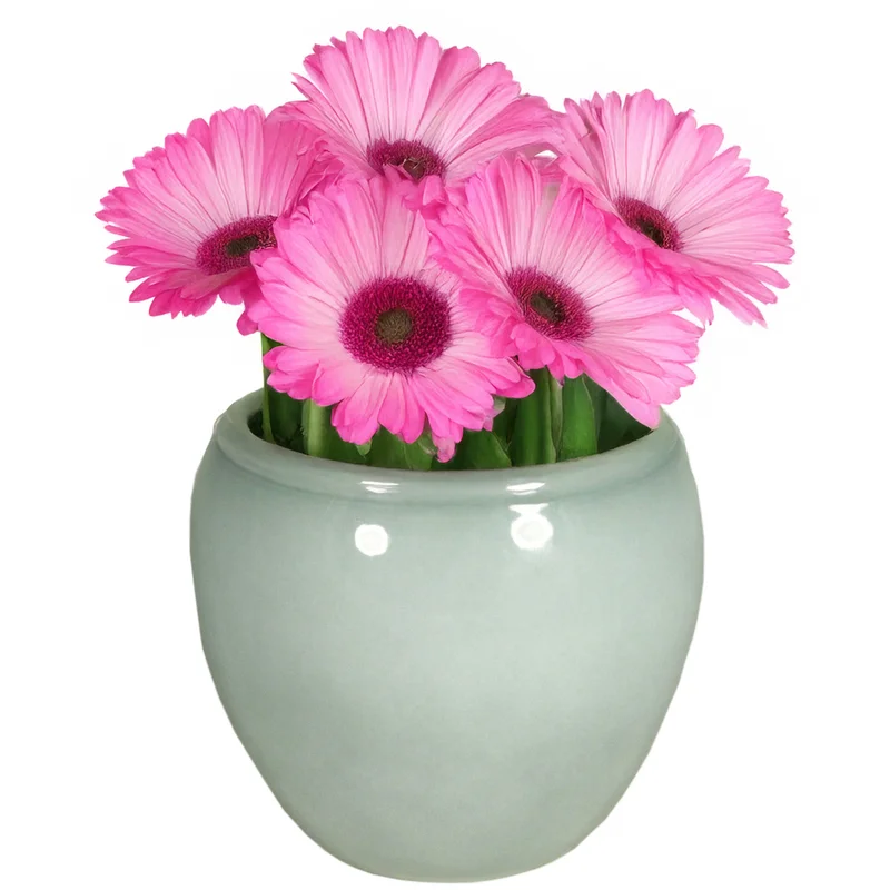 shoppartners-43022998