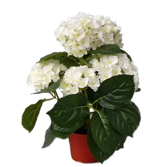shoppartners2566431
