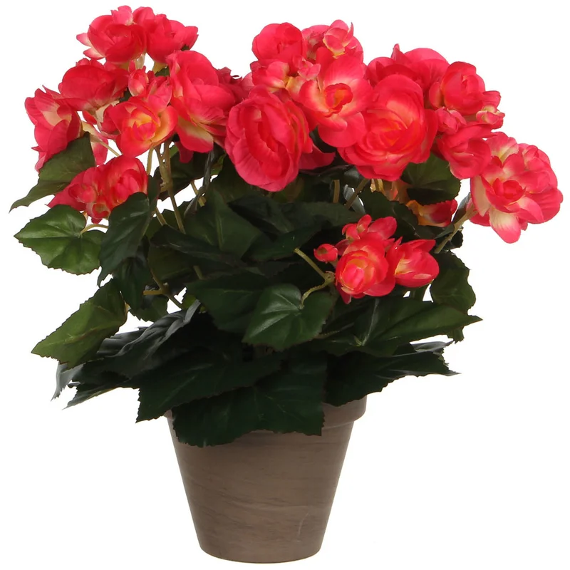 shoppartners2568248