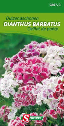 suprabazar-32846398